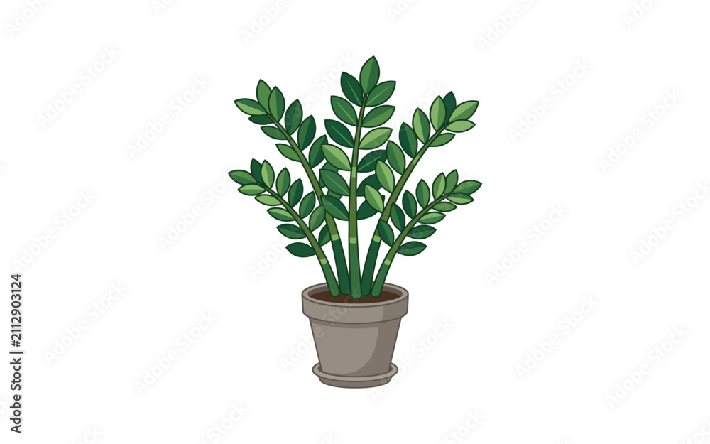 Fototapeta premium ZZ Plant Potted Vector Illustration