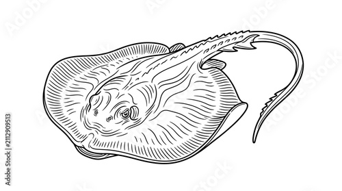 Принти на полотні Stingray fish line art illustration on white background.
