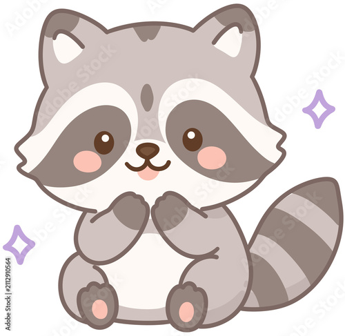 Raccoon
