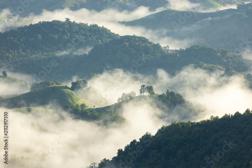 Landscape of Morning Mist with Mountain Layer. mountain ridge and clouds in rural jungle bush forest
