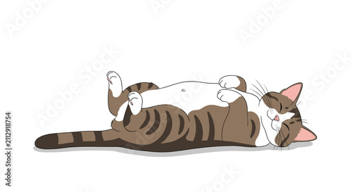 Adorable tabby cat sleeping blissfully on its back with its paws up and eyes closed on an isolated white background for pet lovers.