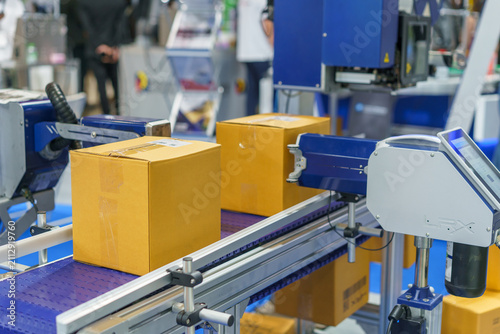 Automated Box Printing Machine on Conveyor Belt