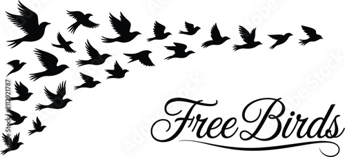 Cuadro en lienzo A flock of flying birds vector illustration with graceful wings soaring across a
