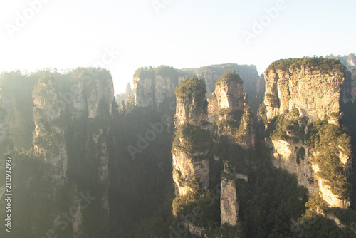 Fotografie Avatar Valley sunshine fog in morning