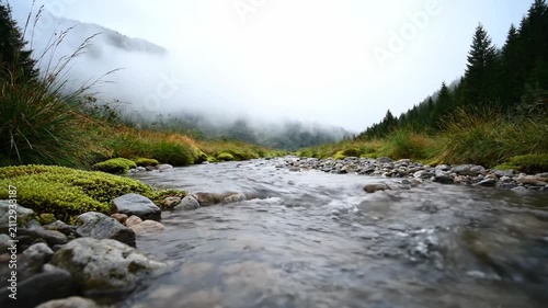 Mountain stream natural scenery, mountain stream morning mist