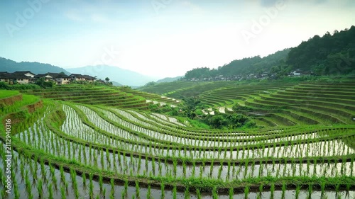 Terraced rice fields natural scenery materials, aerial photography of green terraced fields landscape
