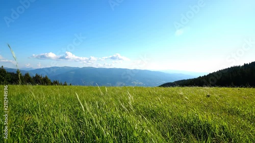 Vast grasslands and distant forest scenery, natural scenery of green grasslands with wind