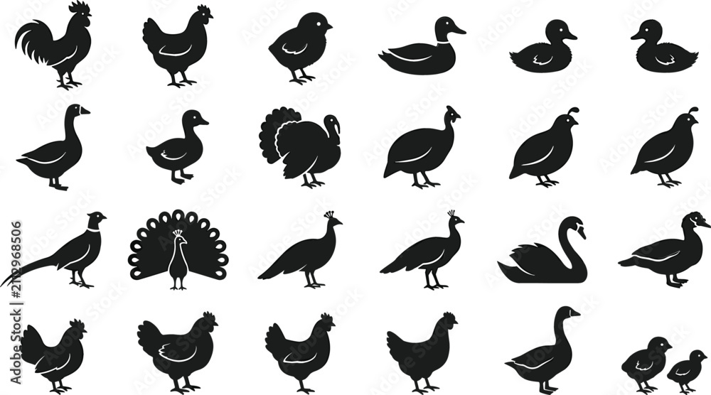 Fototapeta premium Poultry and Farm Bird Black Silhouette Icon Set Featuring Chicken Rooster Duck Turkey Peacock and Swan Symbols for Agriculture Graphic Designs