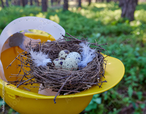 conceptual image of a weathered construction helmet sheltering a bird nest with eggs
