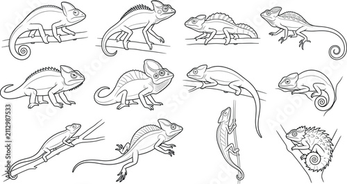Foto Chameleon Outline Vector Collection with Reptile Line Art Poses and Wildlife Ill