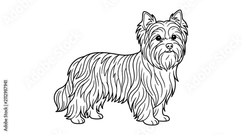 Obraz na płótnie Yorkshire Terrier dog with long fur line art.