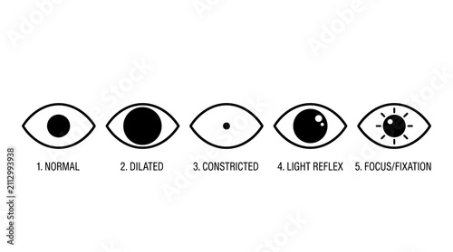 Human Eye Pupil Dilation and Focus Reaction States