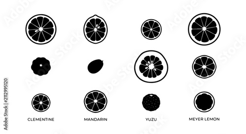 Картината върху платно Citrus Fruit Slices Vector Icons, Fresh Food Graphics, Healthy Ingredient Illust