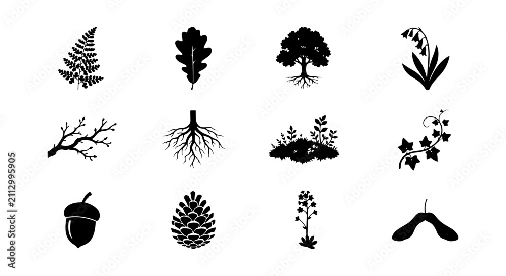 Obraz premium Forest Elements Vector Icons, Nature Icons, Botanical Illustrations, Woodland Graphics Set
