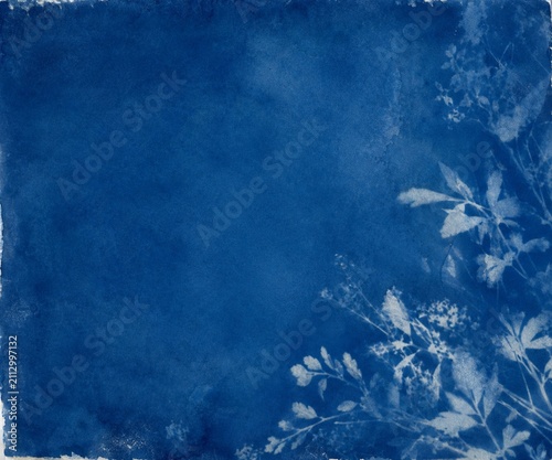 Cyanotype Botanical Shadow Background