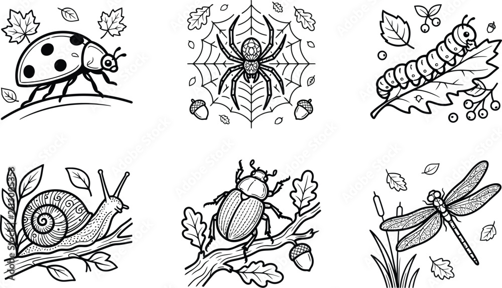 Obraz premium Insect and garden wildlife set vector illustration with spider beetle and snail isolated flat design.