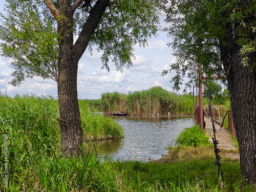 Wooden Suspension Bridge and Reeds on a Peaceful Lakeshore under a Summer Sky in Rural