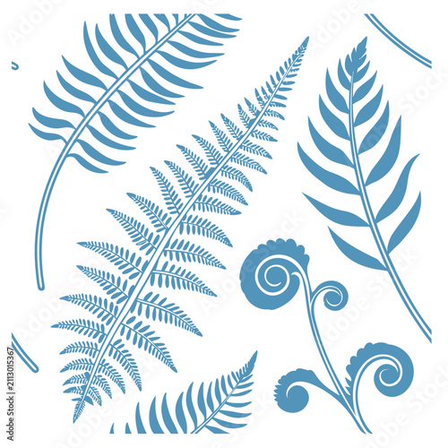Elegant Fern Fronds Line Art Vector Illustration, Botanical Black Outline Foliage Clipart