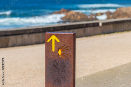 Принти на полотні Camino de Santiago (Way of St