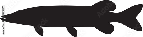 Cuadro en lienzo Minimalist northern pike predatory freshwater fish black silhouette vector icon