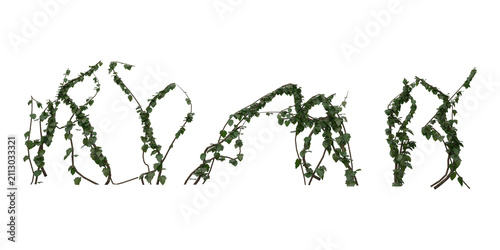 Realistic 3D Ivy Vine Creeper Plant with Sparse Green Leaves Spreading Branches — Natural Botanical Game Asset Illustration on Transparent Background