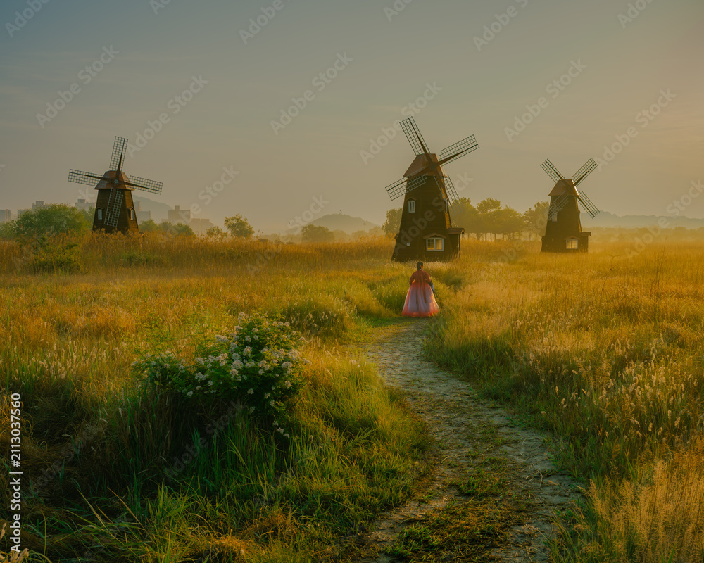 Naklejka premium Path through the golden field