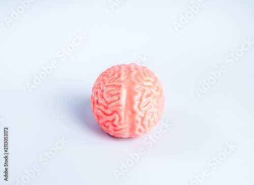 Fotografie Human brain concept representing cognitive longevity, memory health, healthy brain aging, Alzheimer's prevention, neuroscience, mental wellness and cognitive performance for lifelong brain health