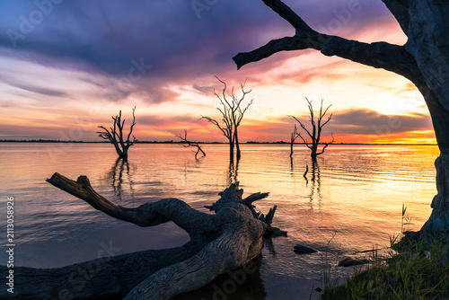 Sunset over Lake Bonney, Barmera, Riverland, South Australia, featuring striking dead trees rising from the calm water