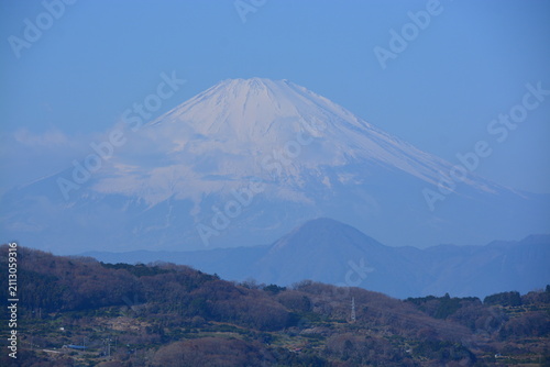 Obraz na płótnie 神奈川県 二宮町の吾妻山公園（花と富士山の景観）