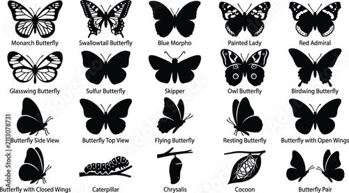 Foto Butterfly Breeds and Lifecycle Silhouette Icon Set Featuring Monarch Swallowtail