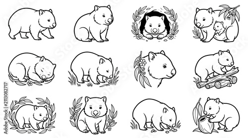 Wombat Illustrations: Cute Australian marsupial drawings