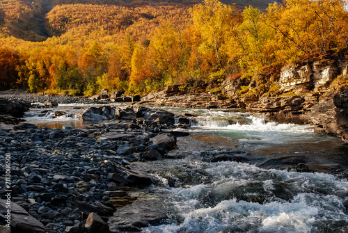 Rapids in the Abiskojook river canyon in Abisko national park in north of Sweden.