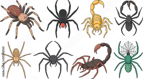 Arachnid vector set with spiders tarantula scorpions tick and web isolated on white background for halloween nature design