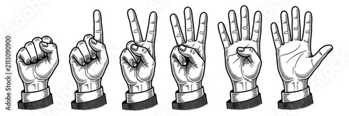 Vintage Engraved Hands Showing Numbers Zero to Five Black and White Detailed Illustration Gesture Counting
