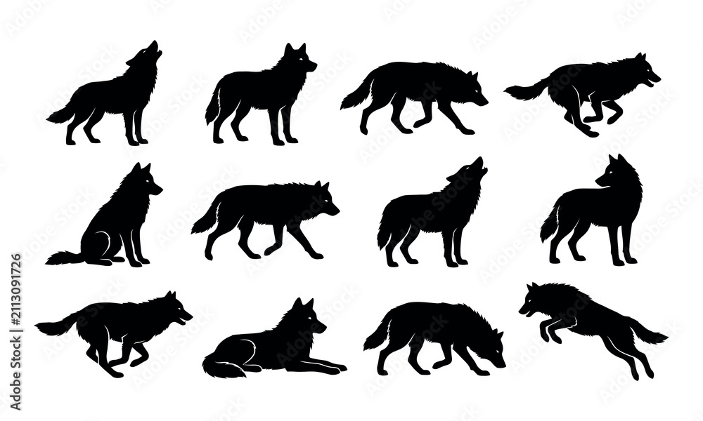 Obraz premium Diverse set of wolf silhouettes in howling running and sitting positions vector