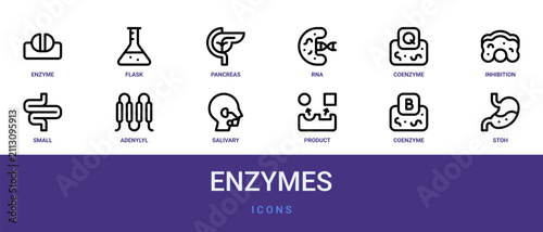 Принти на полотні Set of 12 outline web Enzymes icons such as stoh, coenzyme, product, salivary gl