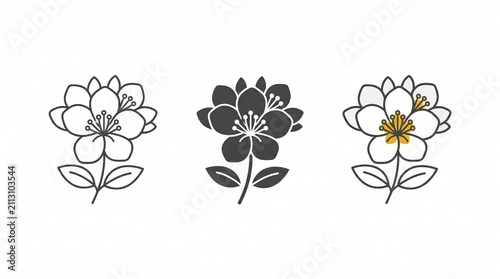 Set of cherry blossom flower icons in three styles with botanical, illustration