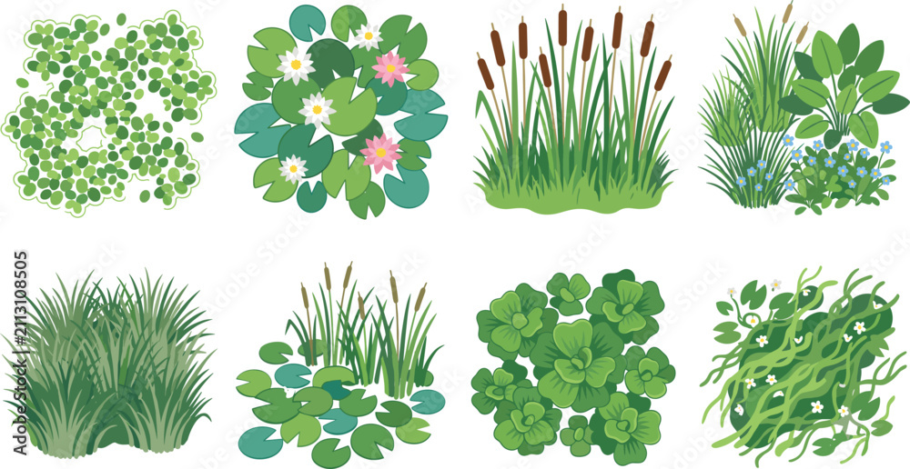 Naklejka premium Aquatic Plants and Wetland Vegetation Set, Vector Illustration of Pond Water Lilies and Reeds