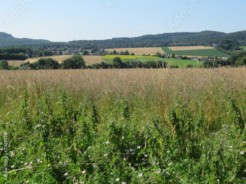 Blick auf einen Teil vom Teutoburger Wald Kamm, bei Hörte, nahe Bielefeld