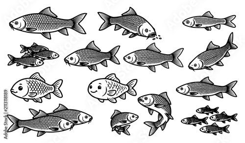 Fotografía Detailed Carp and Minnow Freshwater Fish Vector Illustration Set Featuring Vario
