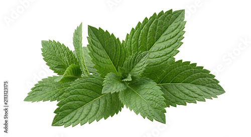 Fresh green mint leaves isolated on transparent background