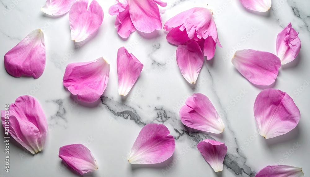 Fototapeta premium Peony petals scattered on marble background