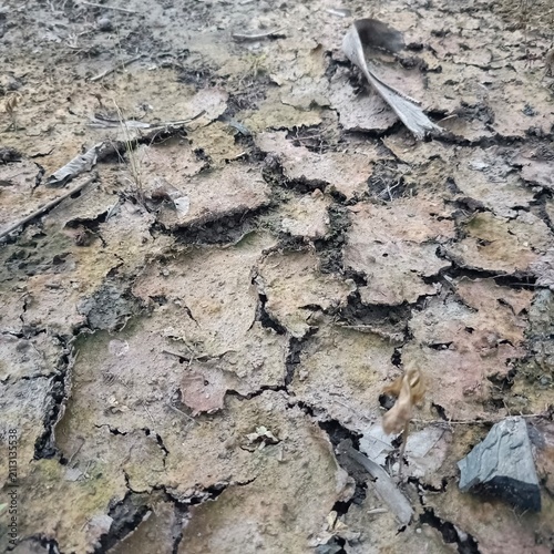 Fotografie Arid ground with cracked dry soil surface caused by prolonged drought and global