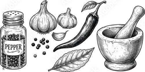 Obraz na płótnie Vintage Spices and Kitchen Utensils Vector Set with Mortar and Pestle Pepper Sha