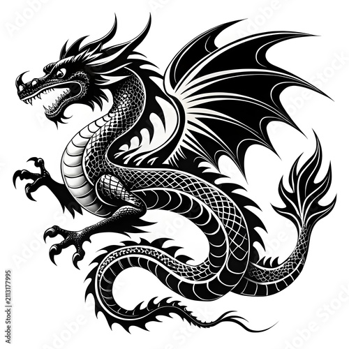 dragon image on white background