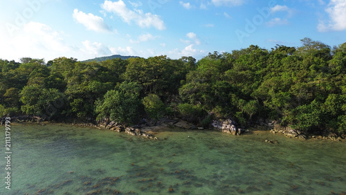 Aerial view of lush green island meets deep blue sea, Lush green trees line calm, clear water