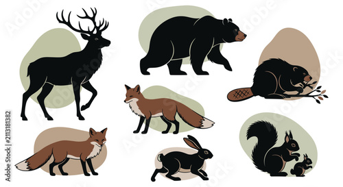 Photography Collection of Diverse Wild Animals Including Deer Bear Fox and Mouse