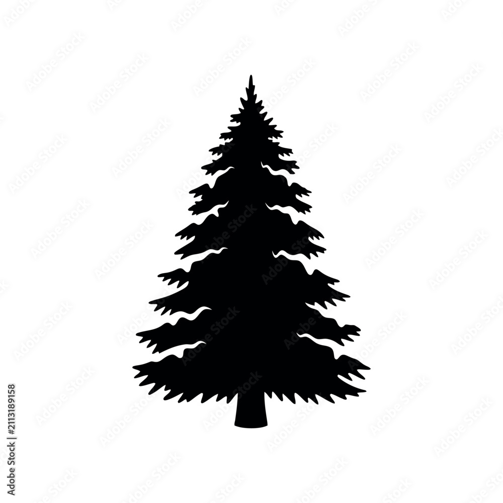 Obraz premium Silhouette of a Tall Evergreen Pine Tree.