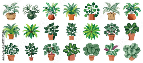 Bild auf Leinwand assorted potted tropical houseplants with lush green foliage and decorative cont