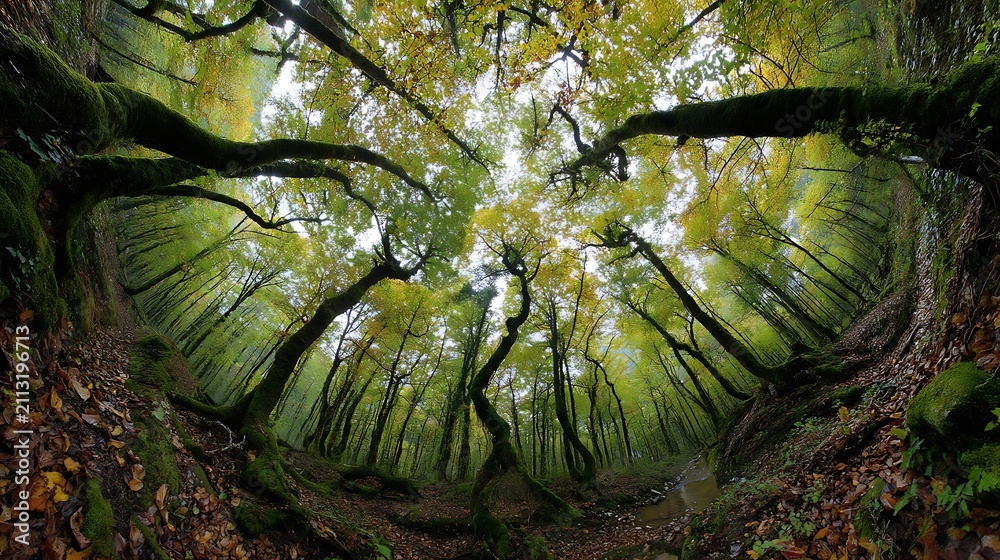 Fototapeta premium Nature-inspired visual concepts exploring seasons, sustainability, eco lifestyle, and mindfulness through immersive perspectives and diverse artistic styles.